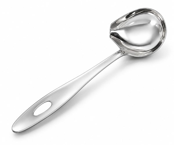 CONCHINHA PARA MOLHO COM BICO CABO CURTO 21CM